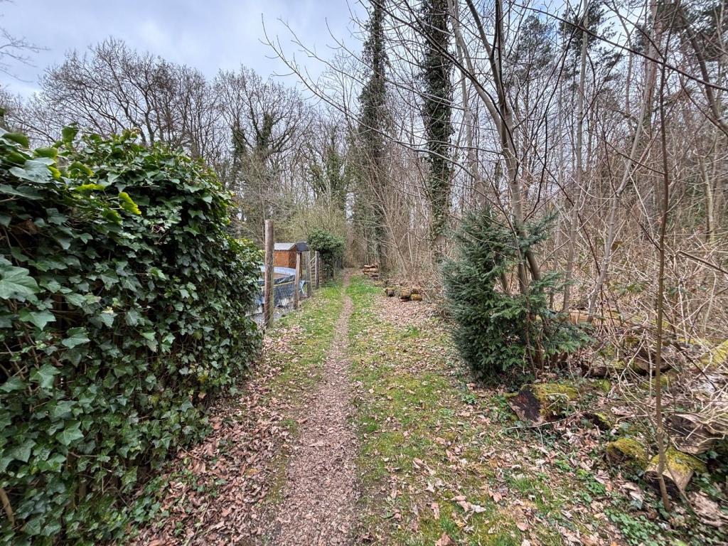 Weg am Wald I