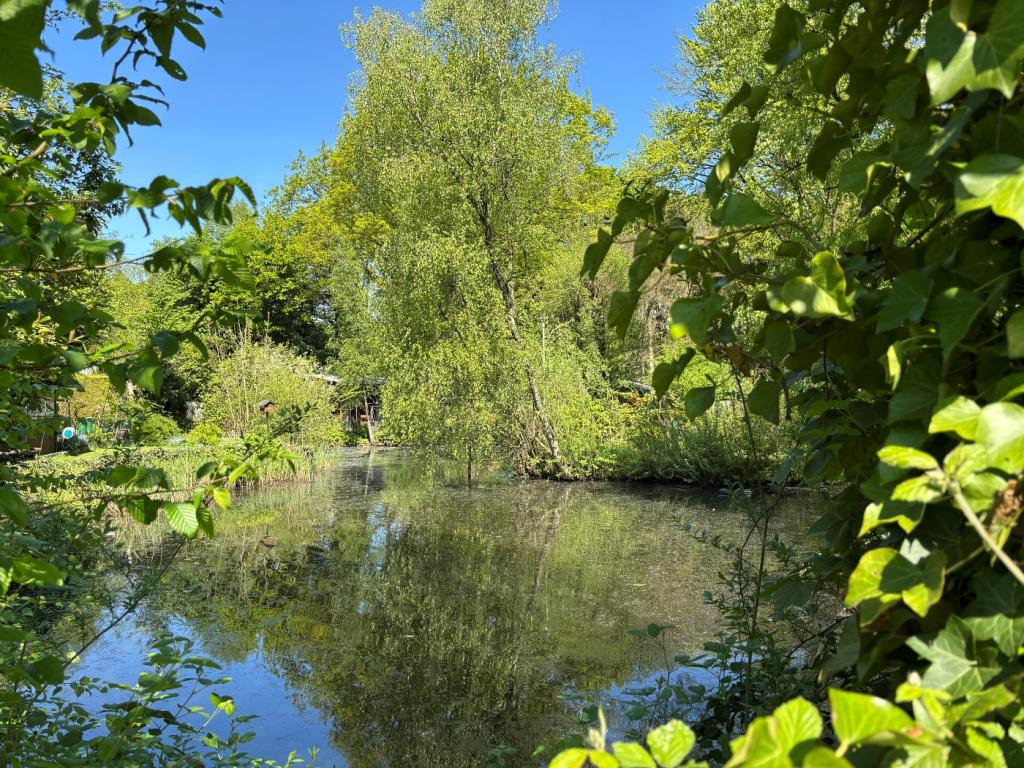 Teich Ost