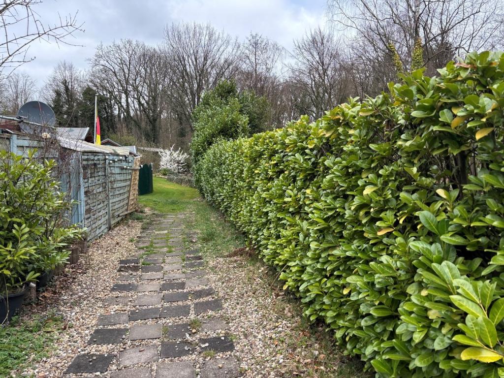 Hecke am Grundstück Grenze