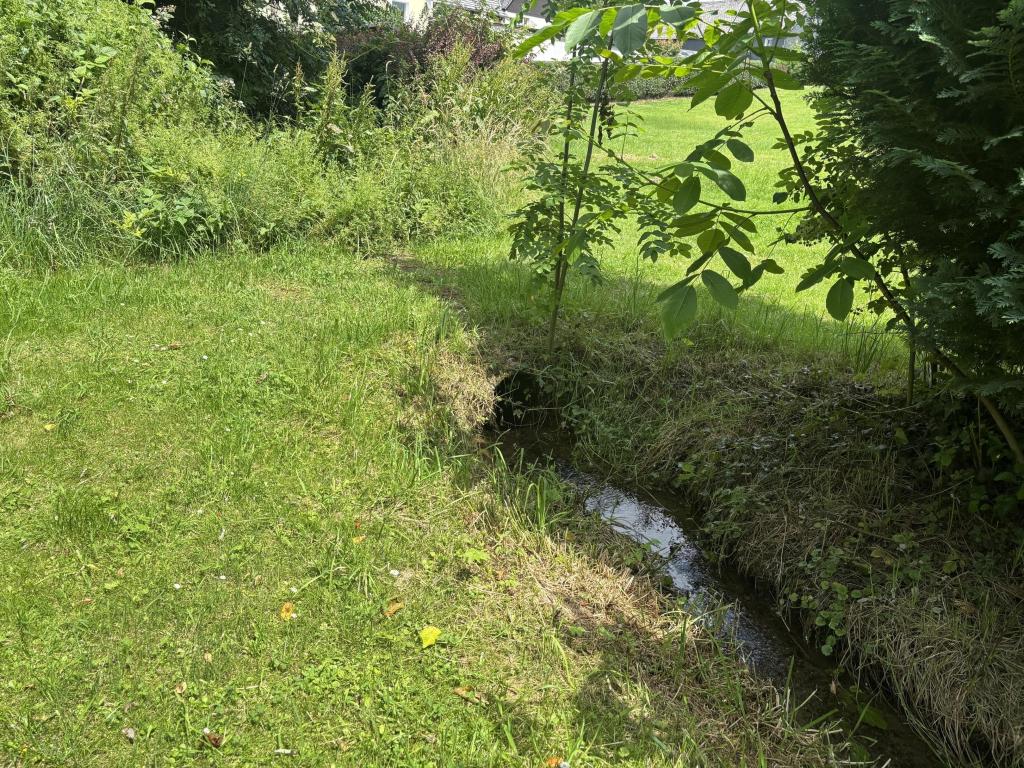 Bachlauf