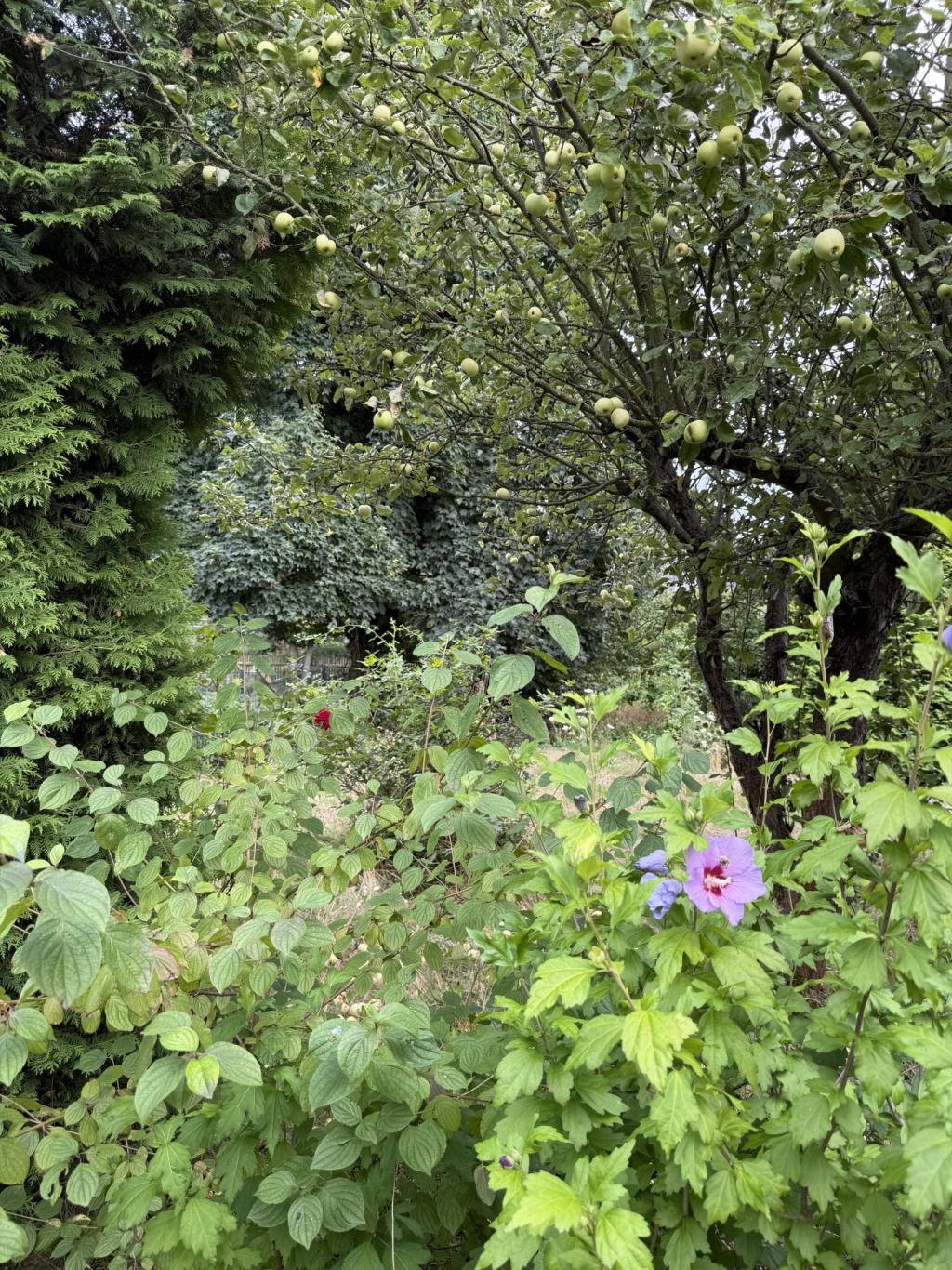 Wiederitzsch 