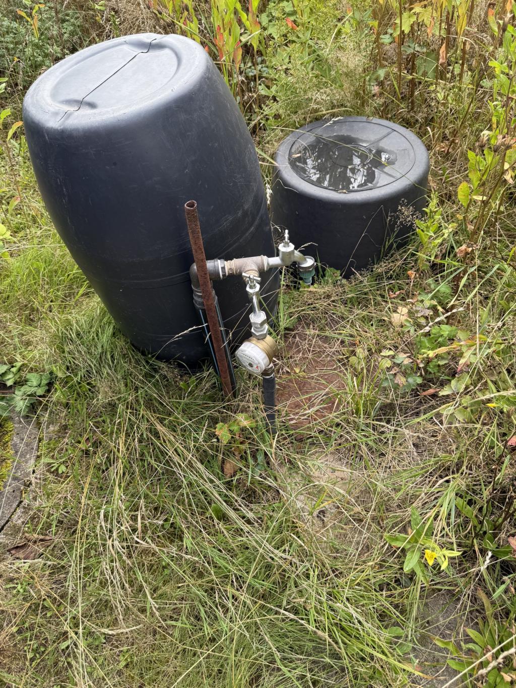 Wiederitzsch 