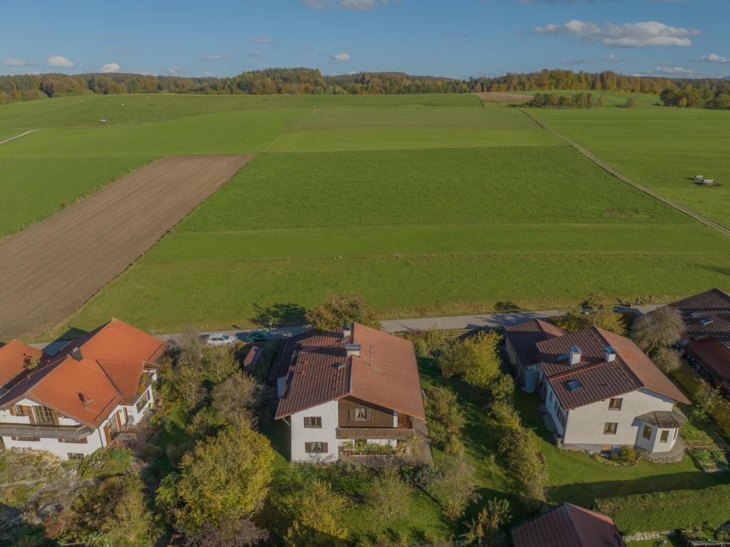 Die Umgebung