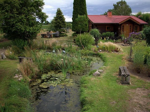 17.JPG