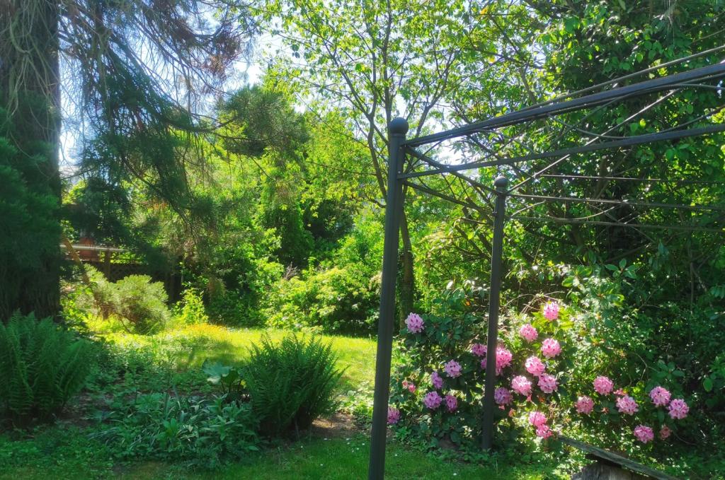 Gartenzauber