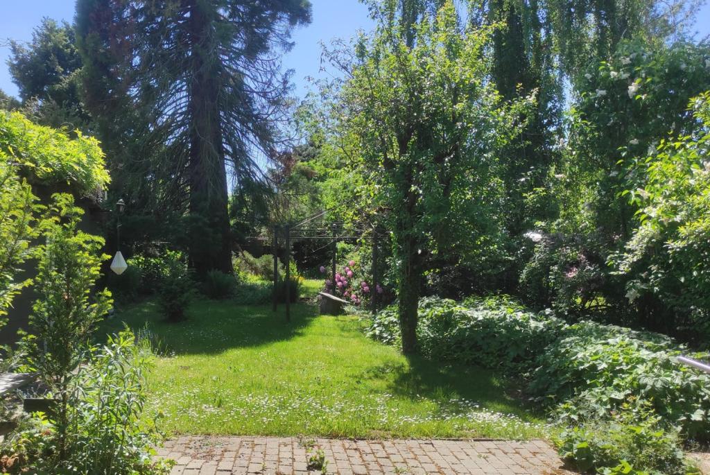 Sicht in den Garten