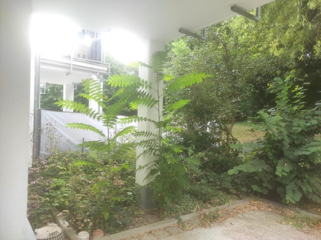 Private Terrasse