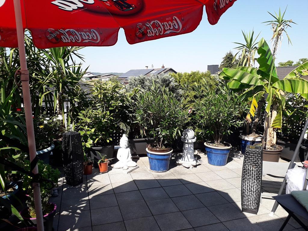 20180727_110651.jpg