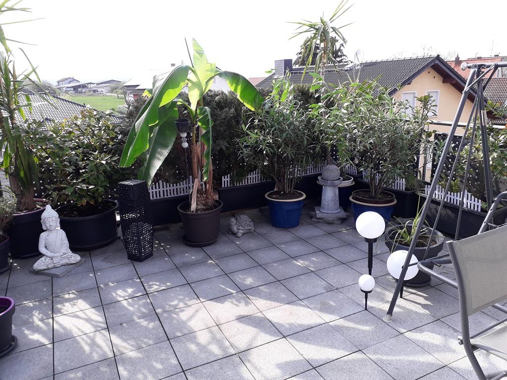 20190417_163557.jpg