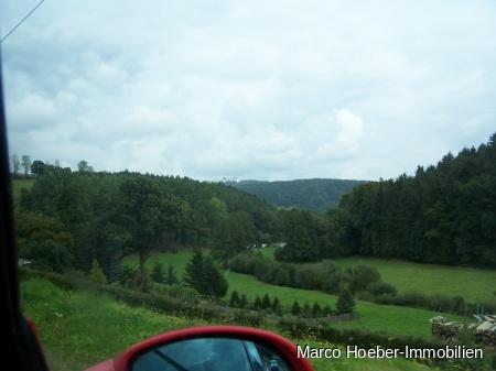 Foto_5294.jpg