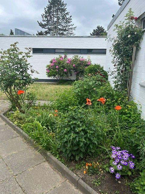 Garten.jpg