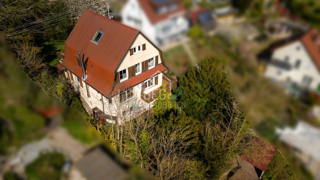 DJI_0935_zensiert