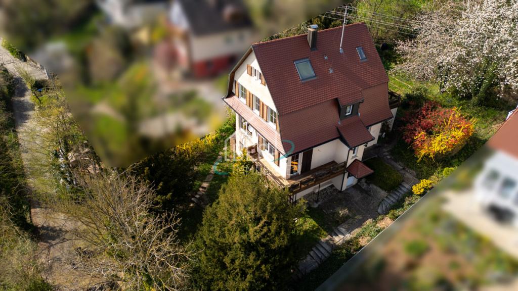 DJI_0934_zensiert