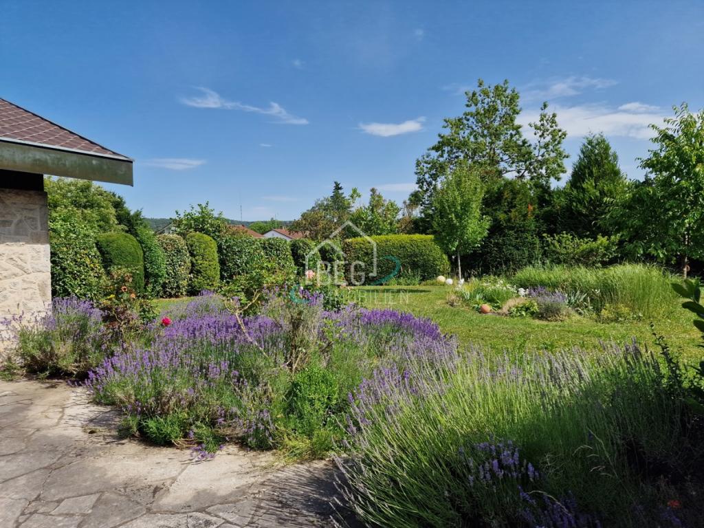 wunderbarer weitläufiger Garten