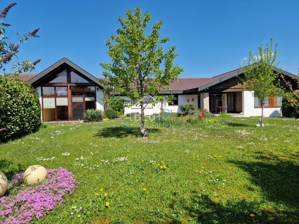 Ansicht Garten