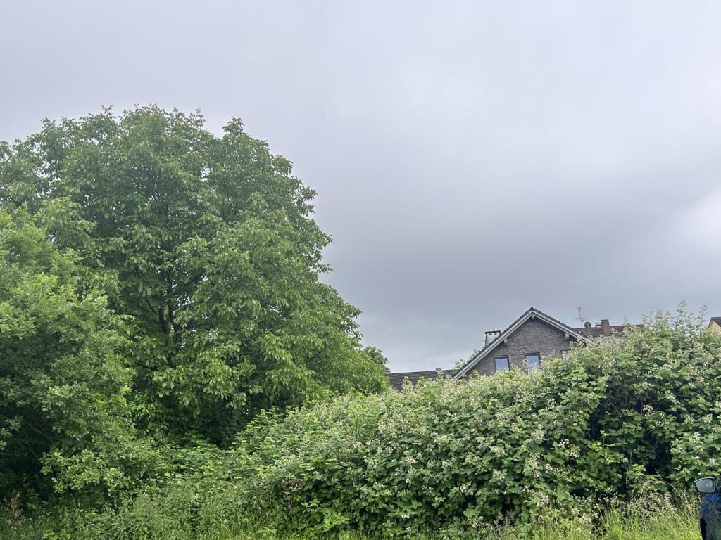Seitenansicht