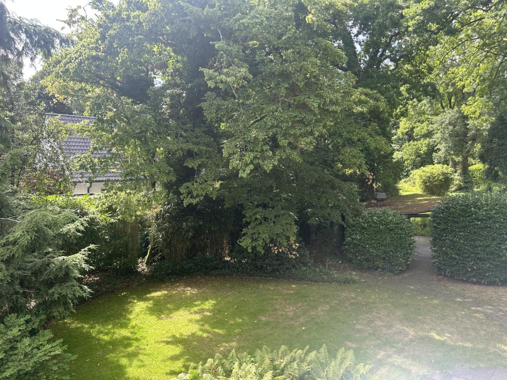 Blick vom Balkon