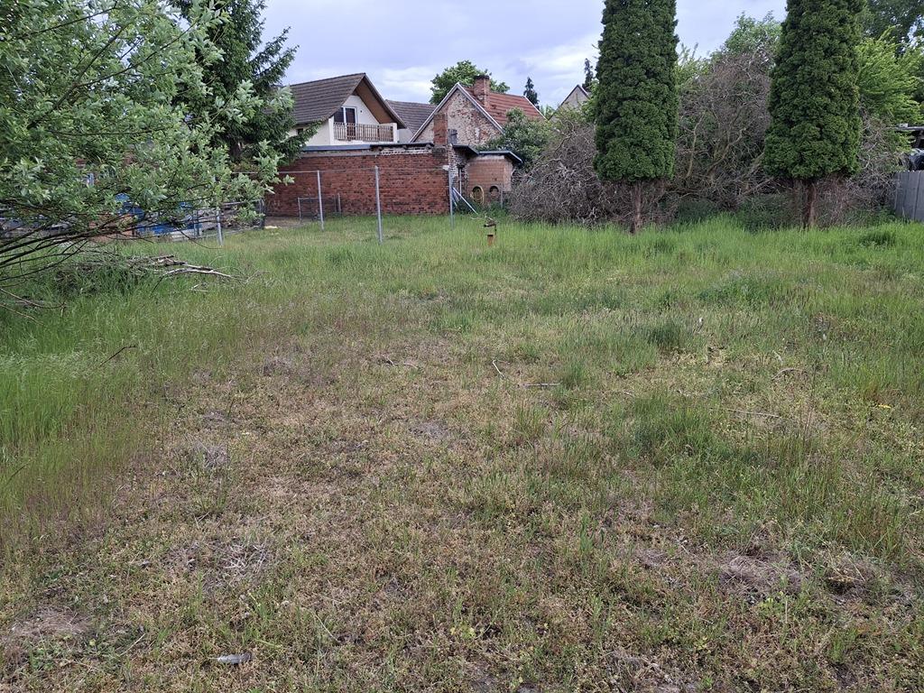 Garten 1.jpg