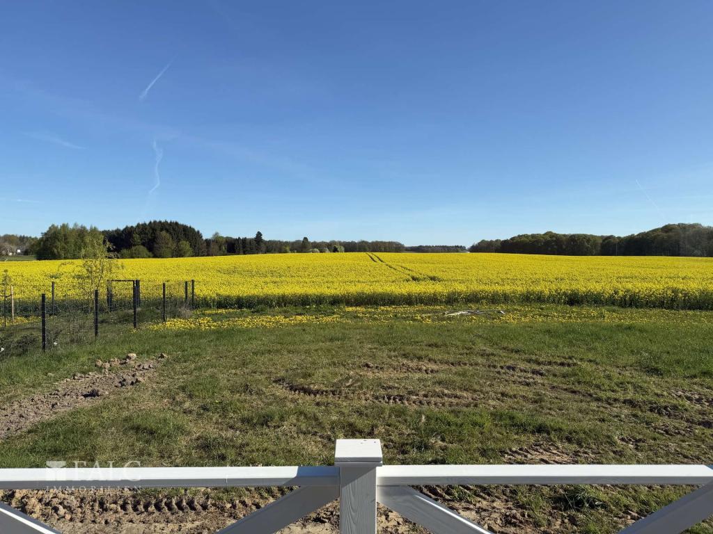***Stilvolles Einfamilienhaus mit großem Garten und Kamin – Ihr neues Zuhause in Badow*** - Foto 4