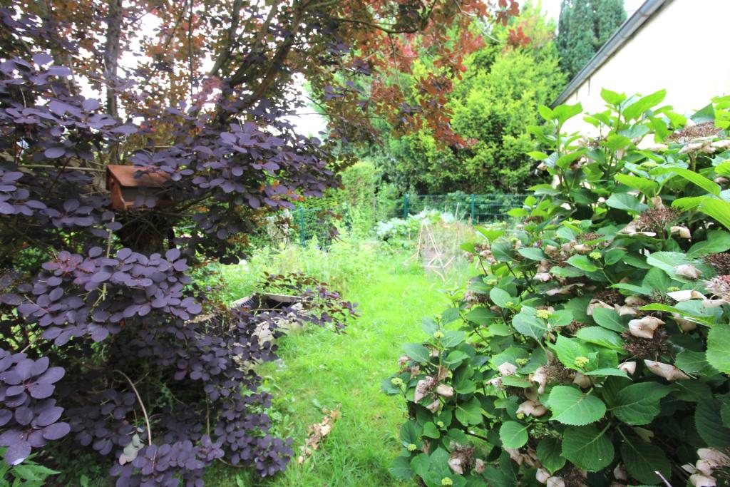 EG Garten