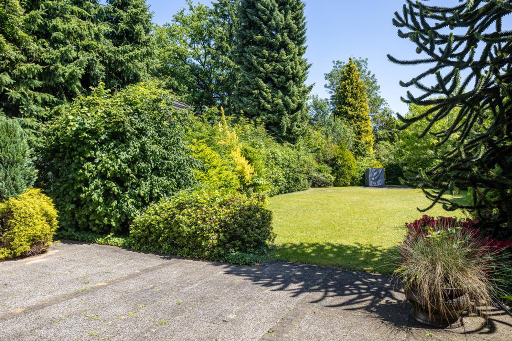 Blick in den Garten