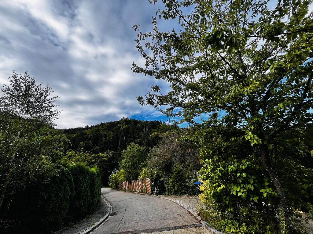 Umgebung