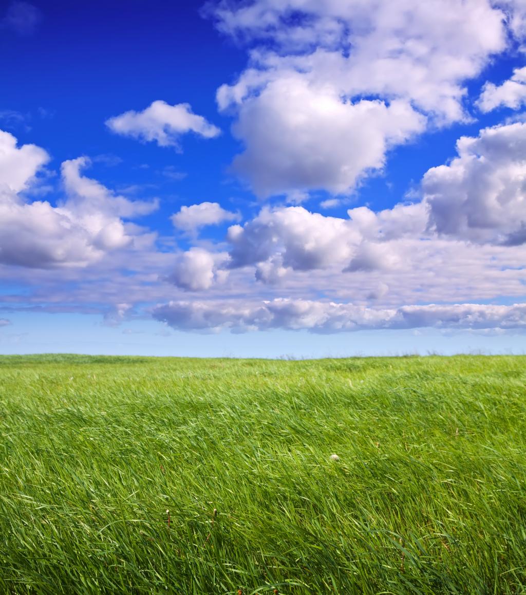 sommerlandschaft