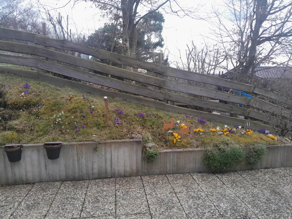 Großzügige 2-Zimmer-Wohnung im Dachgeschoss, Miete, St. Johann - Foto 3