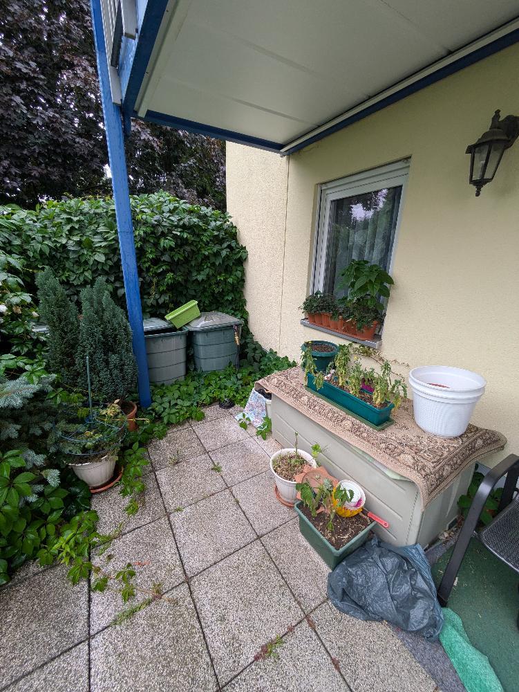 Traumhafte 2-Raumwohnung im Grünen - Photo 4
