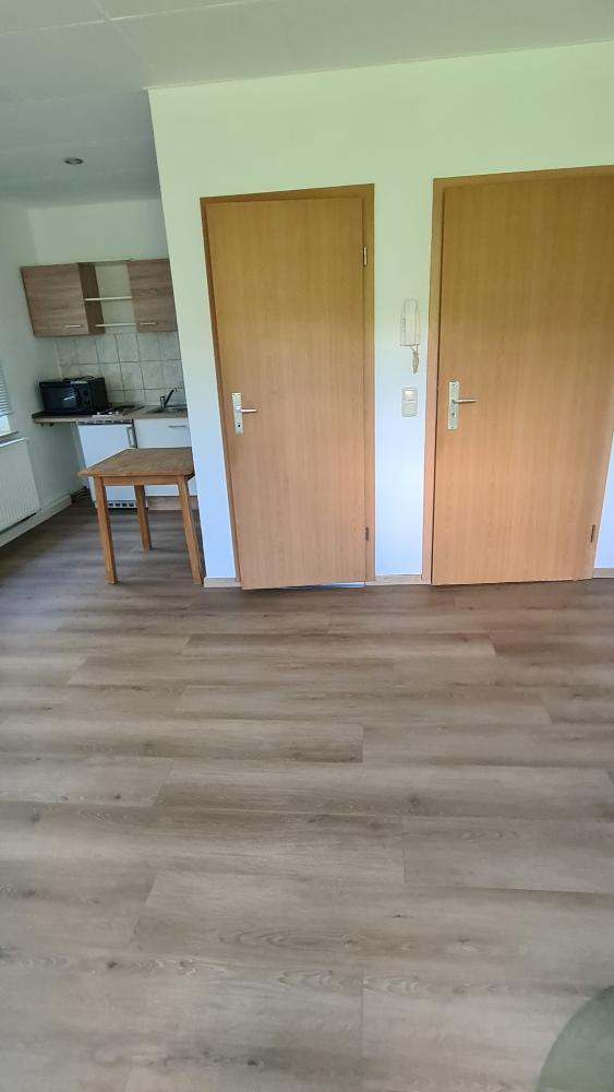 teilmöbliertes 1-Zimmer Apartment in ZWICKAU Oberhohndorf - Photo 3