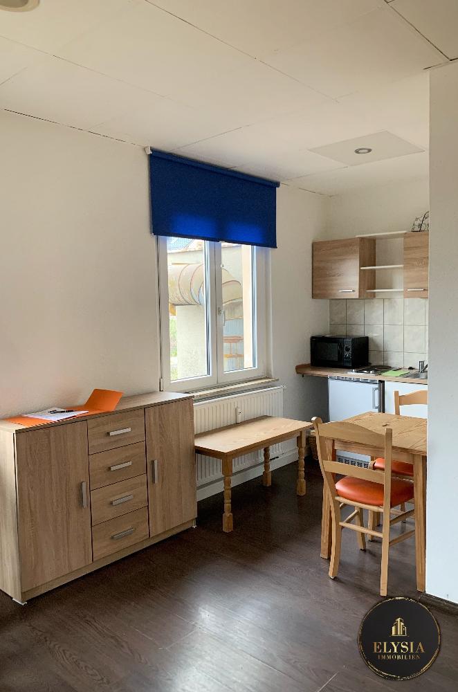 möbliertes 1-Zimmer Apartment in ZWICKAU Oberhohndorf - Photo 3