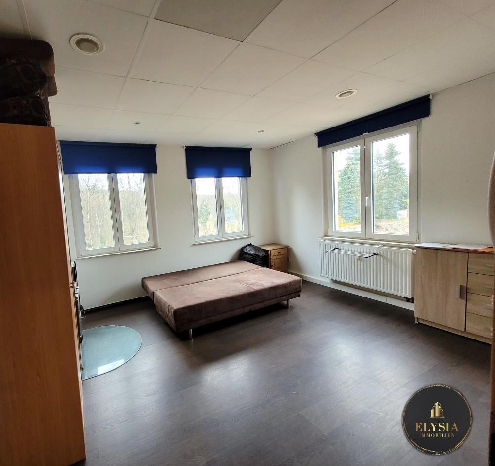 möbliertes 1-Zimmer Apartment in ZWICKAU Oberhohndorf - Photo 1