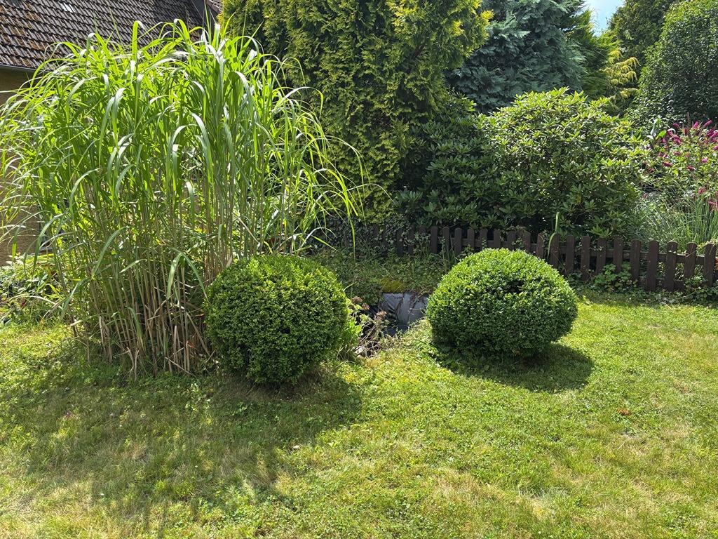 3_Haus Garten Teich 7.jpg