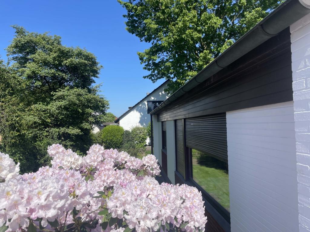 Wunderschöne Blütenpracht