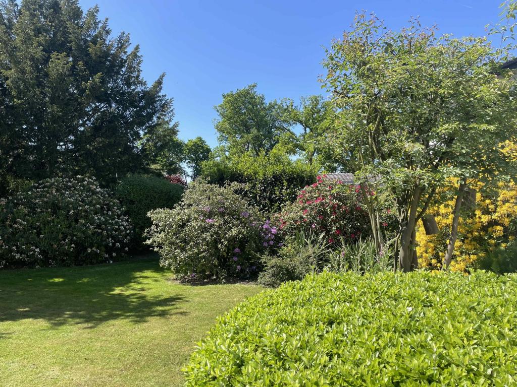 Blick in den Garten