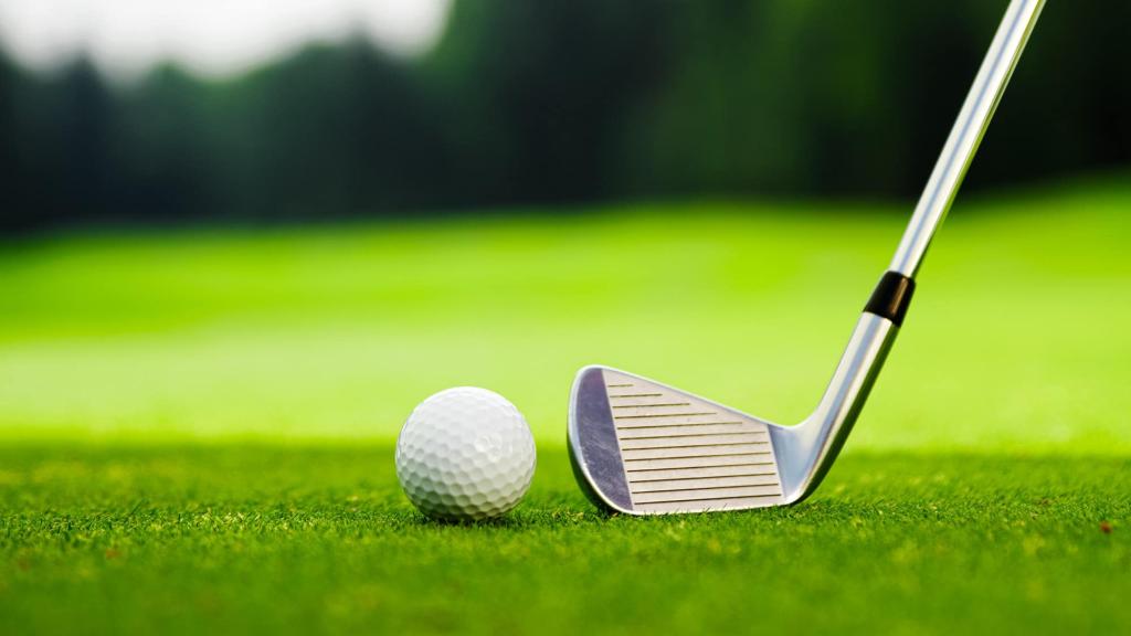 Unmittelbare Nähe zum Golfplatz "Hittfeld"