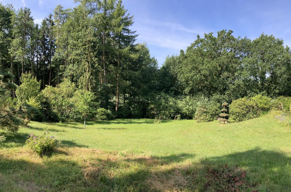 Blick in Richtung Südwesten