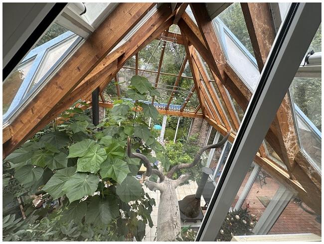 Blick in den Wintergarten