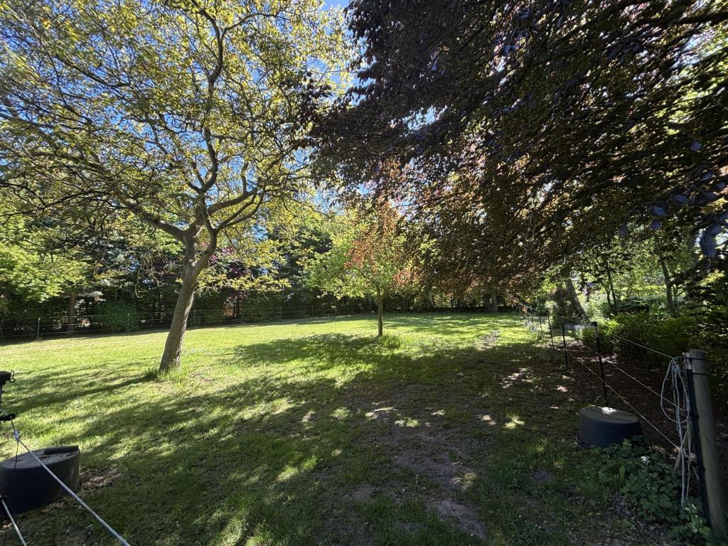 Hausgarten