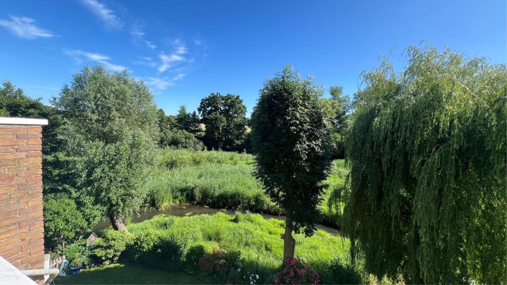 Aussicht Mühlenteich