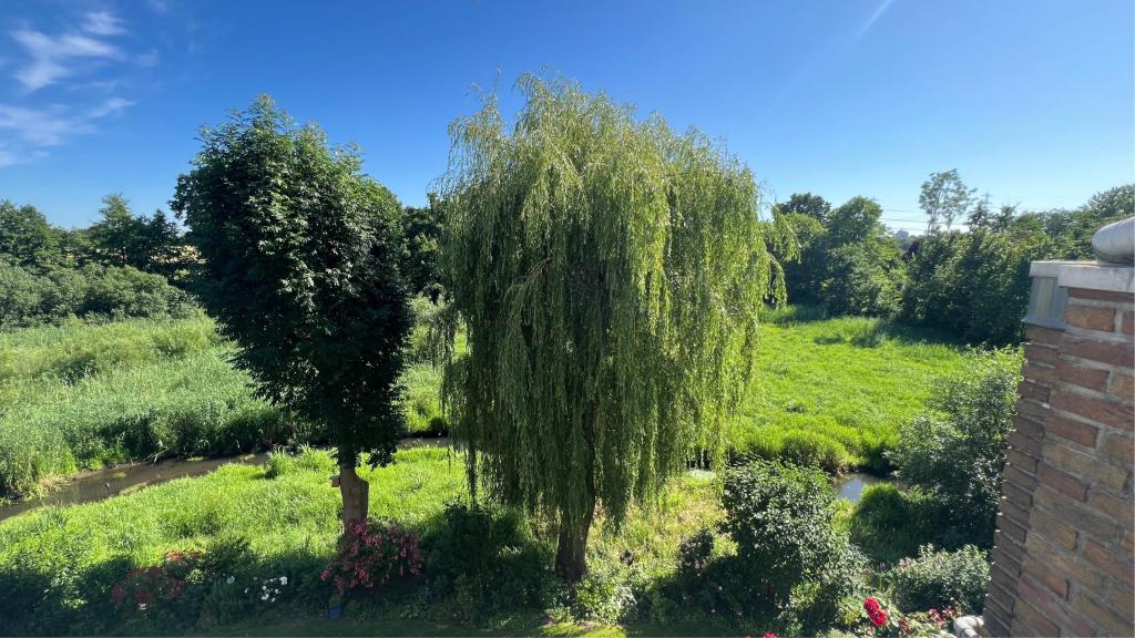 Aussicht Mühlenteich