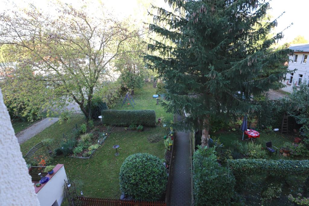 Gemeinschaftsgarten