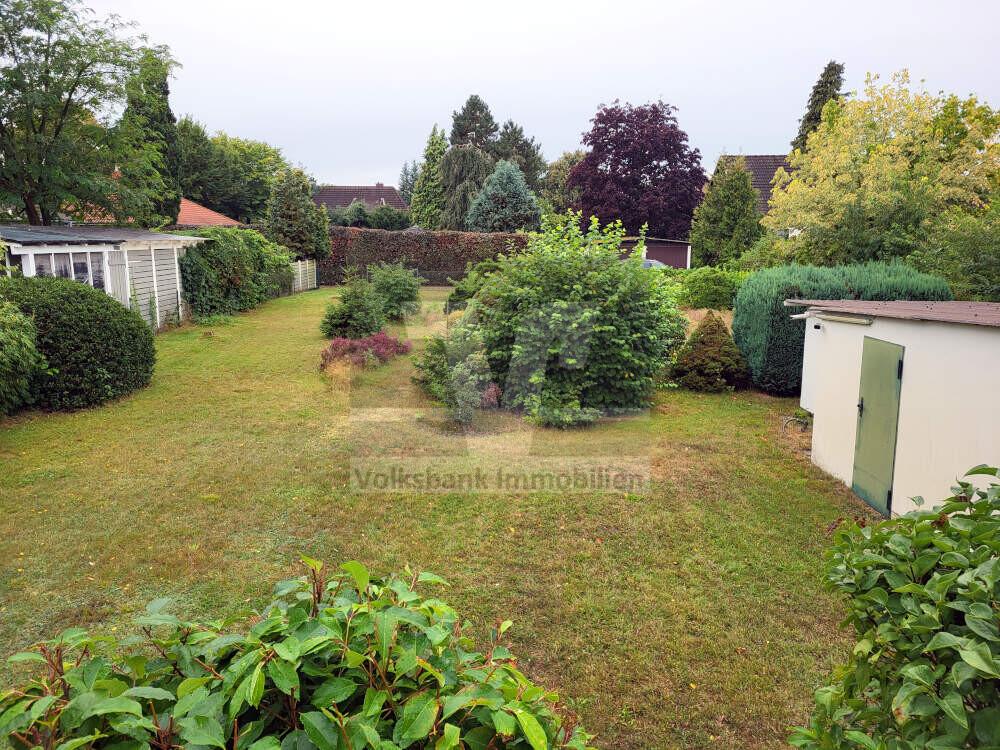 Blick in den Garten