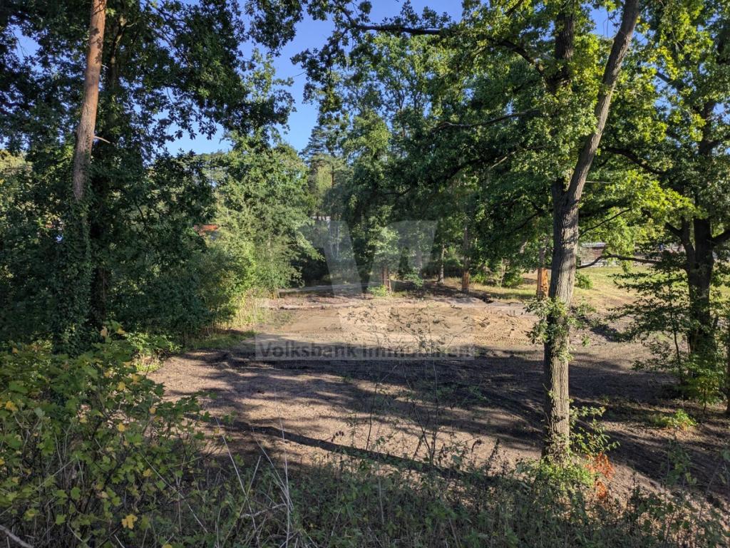 Blick vom Hang auf das Grundstück