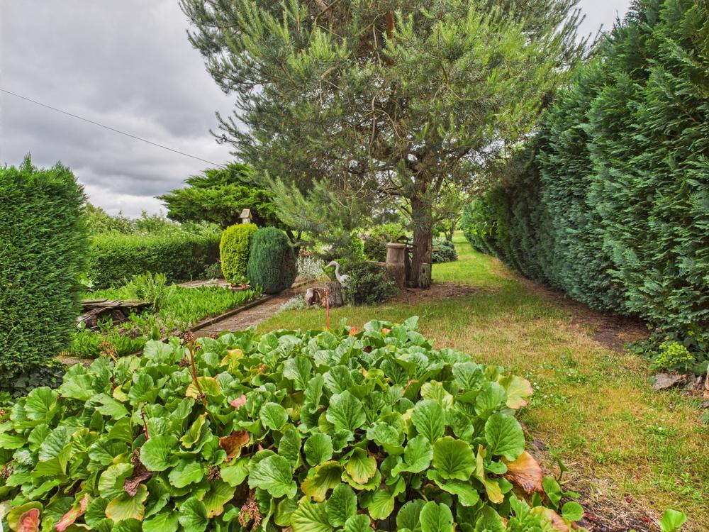 Gartenimpressionen