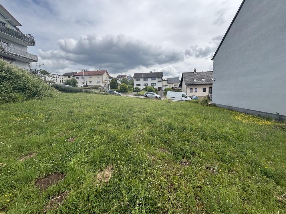 Blick zur Straße