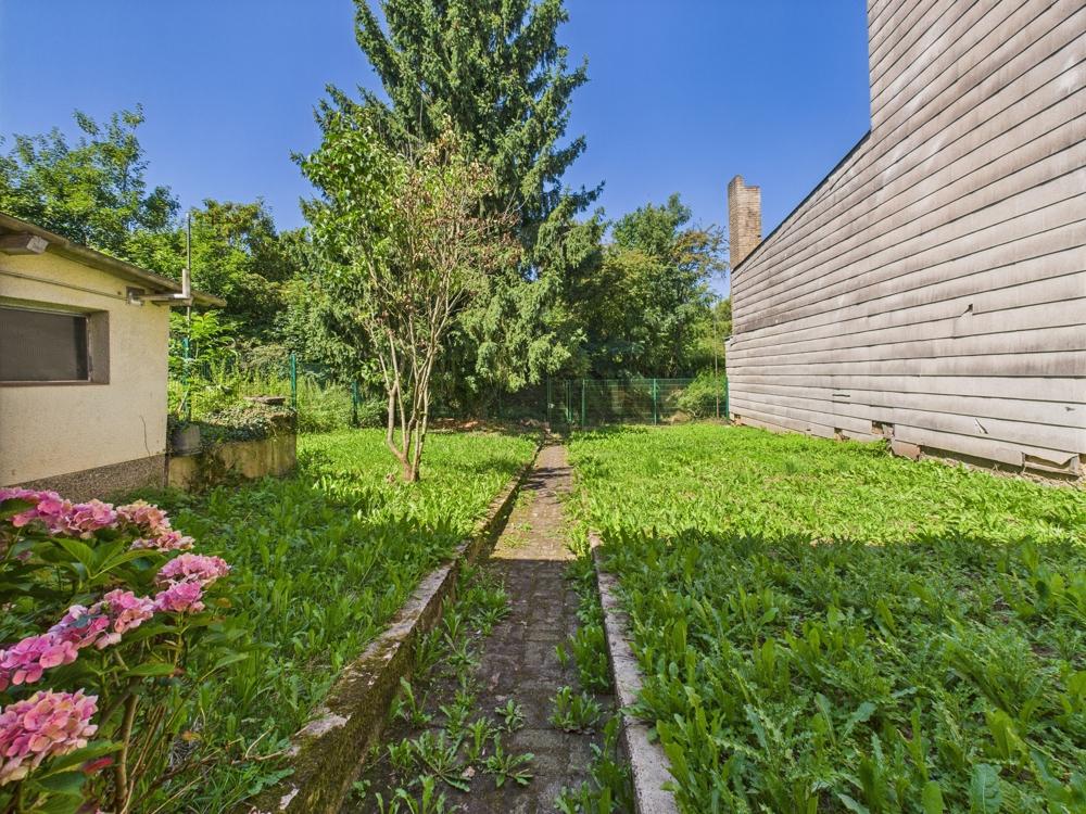 der Garten