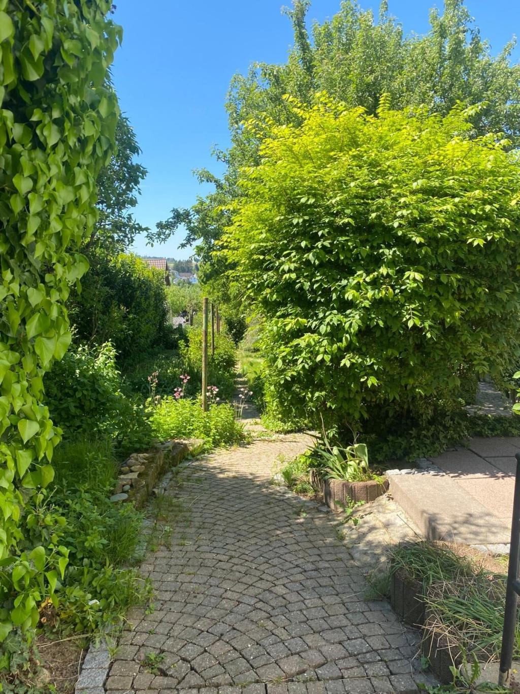 Gepflasterte Wege