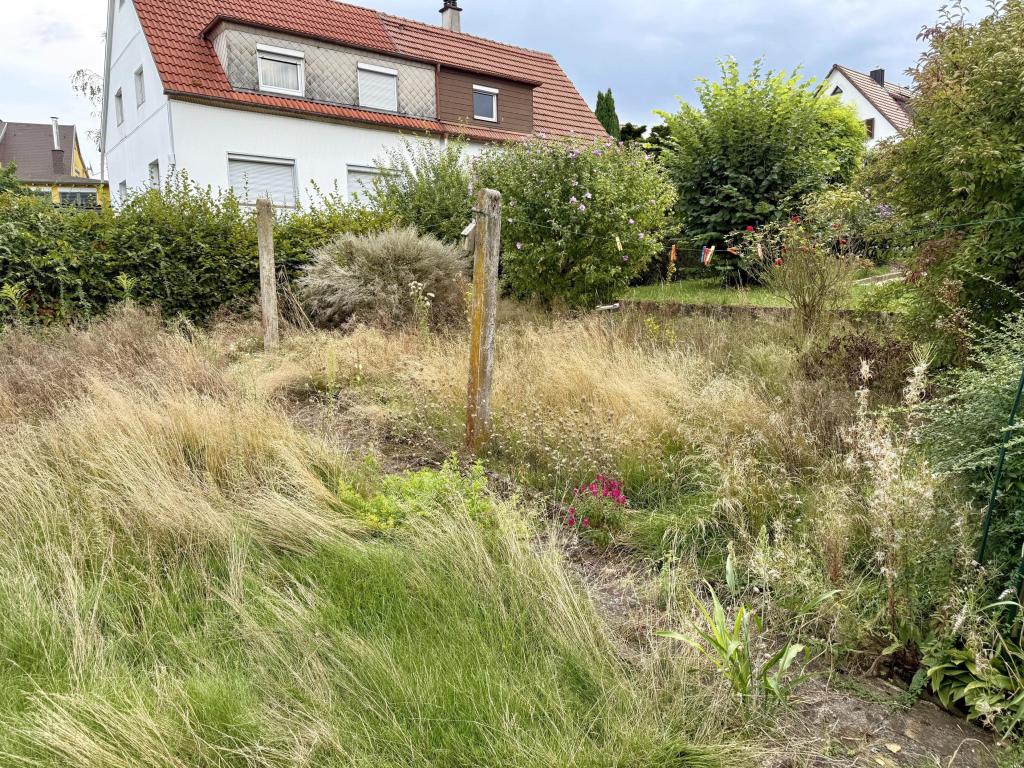 Gartenblick 1