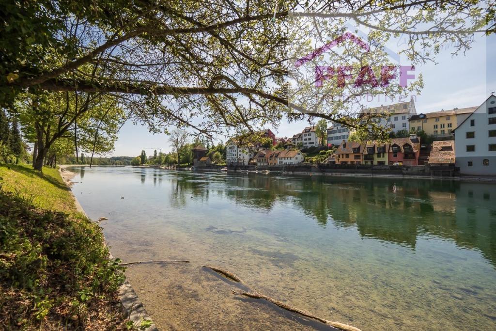Rhein 3